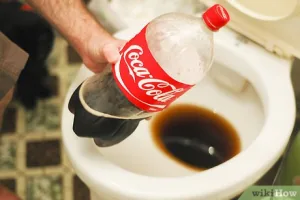 como-destapar-la-taza-del-bano-con-coca-cola