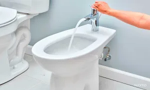 que-es-el-bidet-y-para-que-sirve